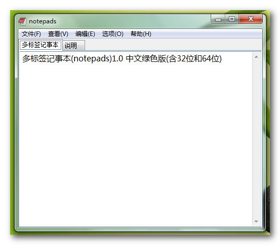 多标签记事本(notepads) v1.0 绿色中文版1