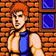 双截龙3(double dragon 3 the roset)