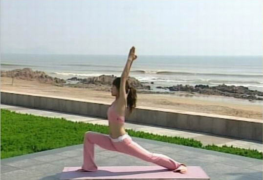28天瑜伽养生计划 瑜伽视频教程 免费版_看视频学瑜伽0