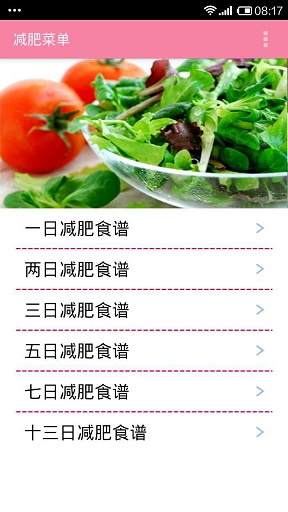减肥菜单 v1.0 安卓版0