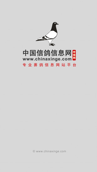 中国信鸽信息网 v20230528 安卓版0