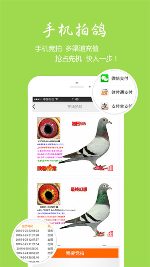 中国信鸽信息网 v20230528 安卓版2
