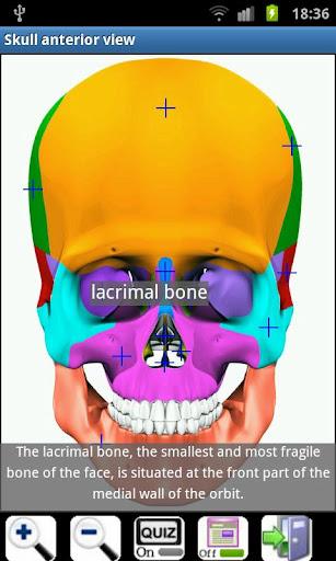 3d虚拟人体解剖(Visual Anatomy) v4.1 安卓已付费完整版0