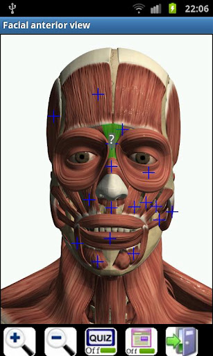 3d虚拟人体解剖(Visual Anatomy) v4.1 安卓已付费完整版1