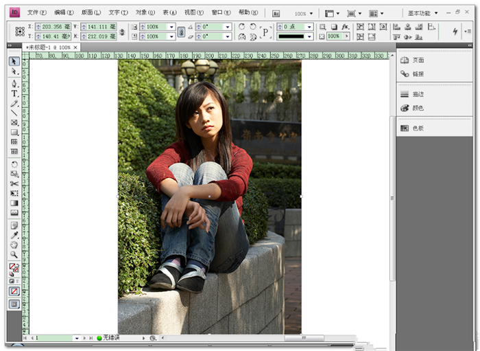 Adobe InDesign CS4 中文绿色精简版0