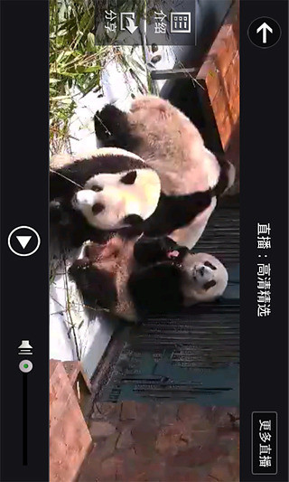 iPandaCam熊猫频道 v2.2.9 安卓版3