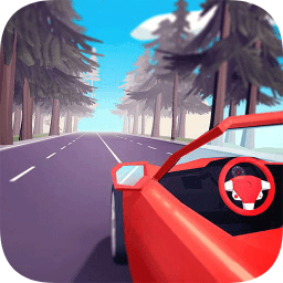 极速车手游戏(Fast Driver 3D)