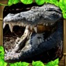 鳄鱼模拟器无限生命(CrocodileSim)