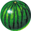 挑瓜神器(watermelon prober)