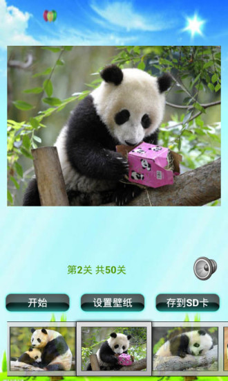 大熊猫拼图儿童游戏 v1.0 安卓版2