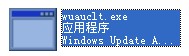 wuauclt.exe文件0