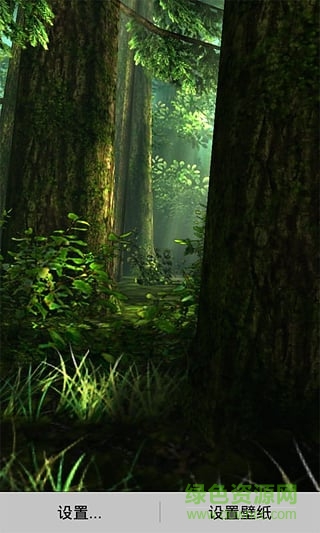 3d森林动态壁纸 v1.1.7 安卓版1