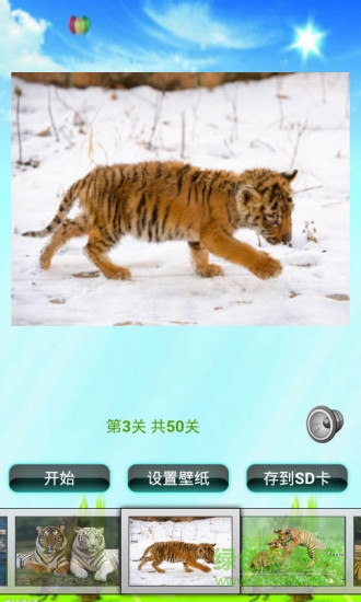 老虎拼图儿童游戏 v5.1 安卓版3