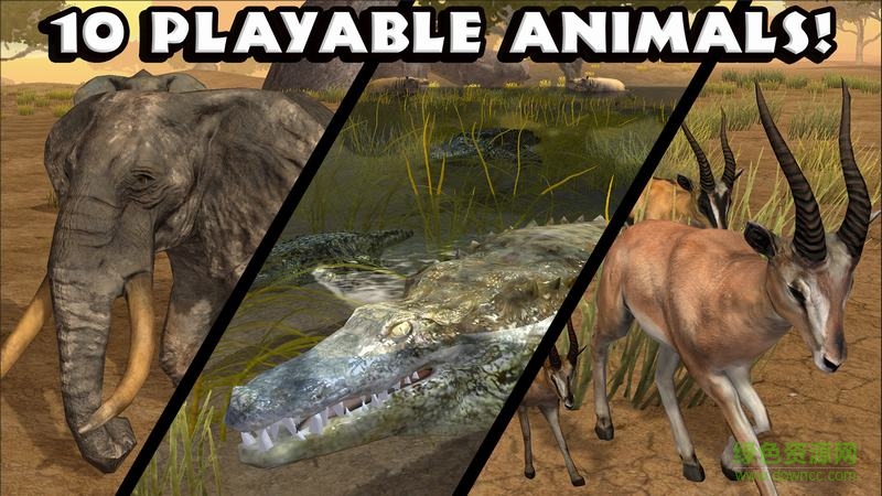 热带草原动物模拟游戏 v1.1 安卓版0