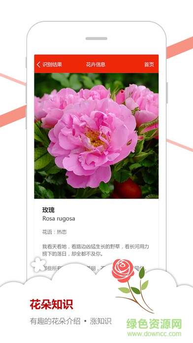 微软识花(花草识别器)ios版 v1.0 iPhone版2
