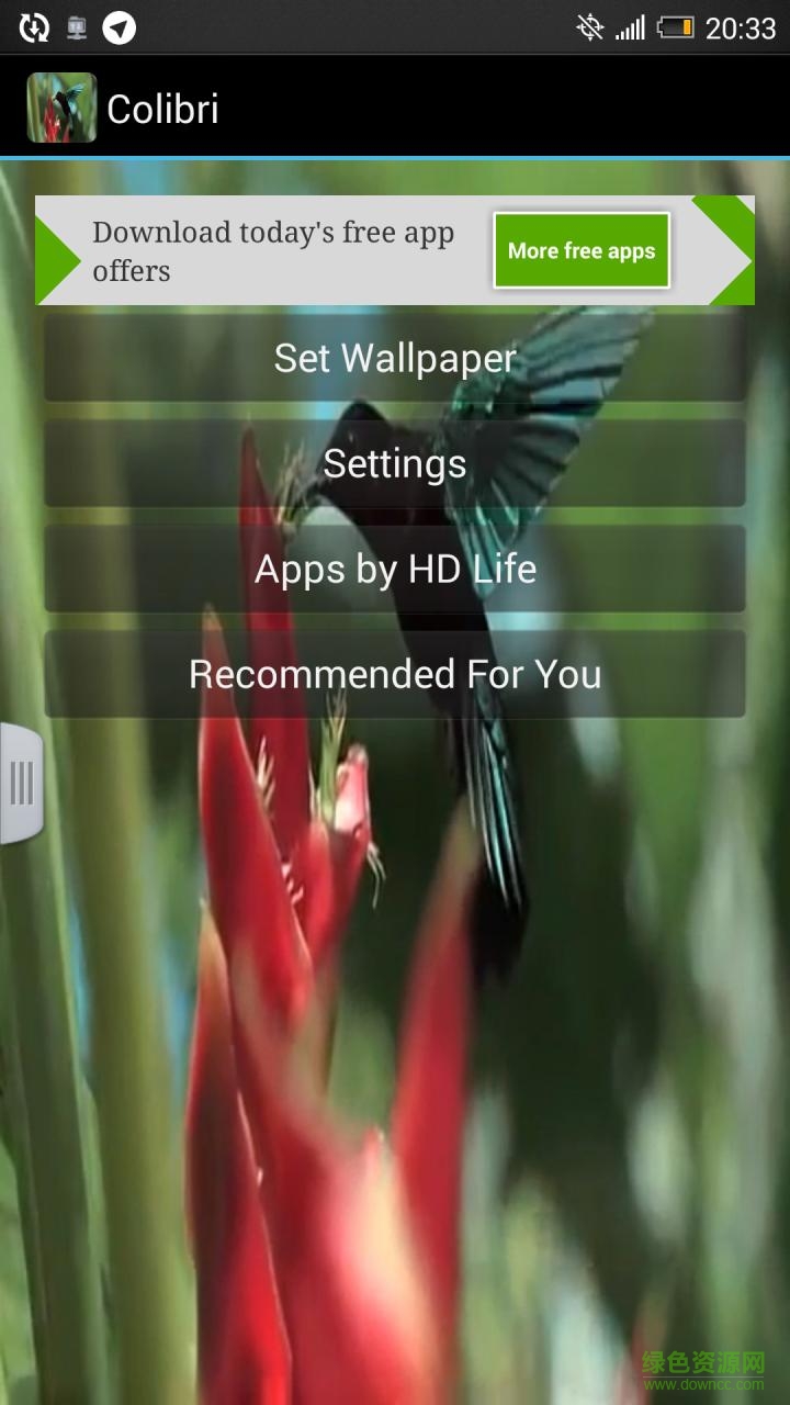 蜂鸟壁纸手机版(Hummingbirds Live Wallpaper) v3.2.0.0 安卓版2