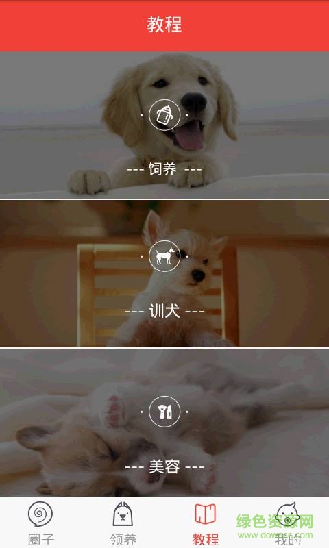 领狗狗手机版 v2.4 安卓版2