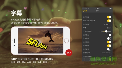 nplayer蘋果版 v3.12.12 iPhone免費(fèi)版 1