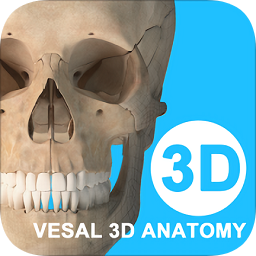 维萨里3D解剖教学全集终身免费版