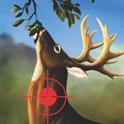 丛林猎鹿游戏(Deer Hunting in Jungle)