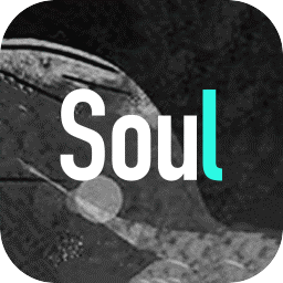 灵魂交友软件soulv4.33.0 官方安卓版