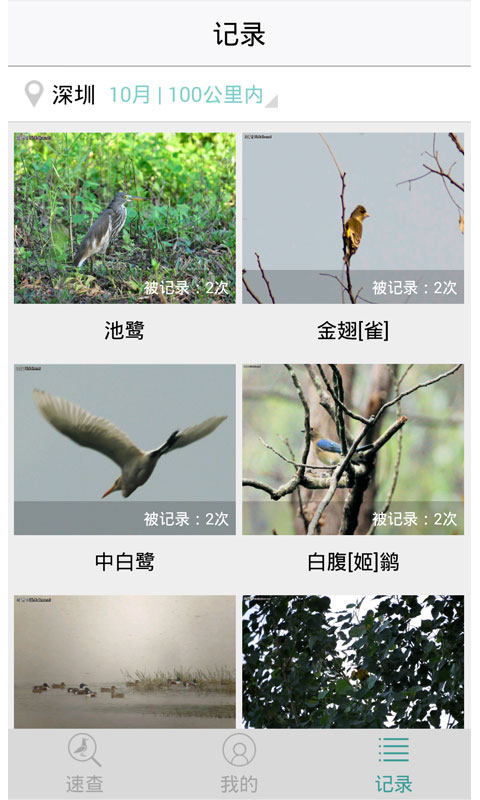 中国野鸟速查 v1.4 安卓版2