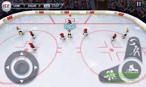 冰球3D(Ice Hockey)2