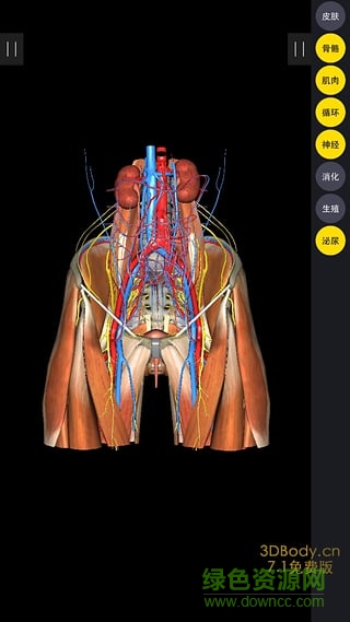 3Dbody解剖软件ipad版 v7.6.0 苹果ios版0
