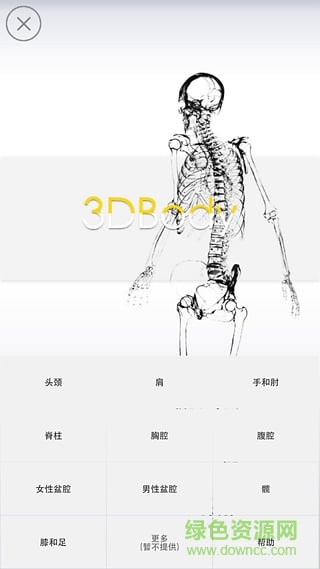 3dbody解剖软件电脑修改版 v8.0 pc中文版0
