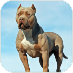 比特犬模拟器游戏(Pitbull Dog Simulator)