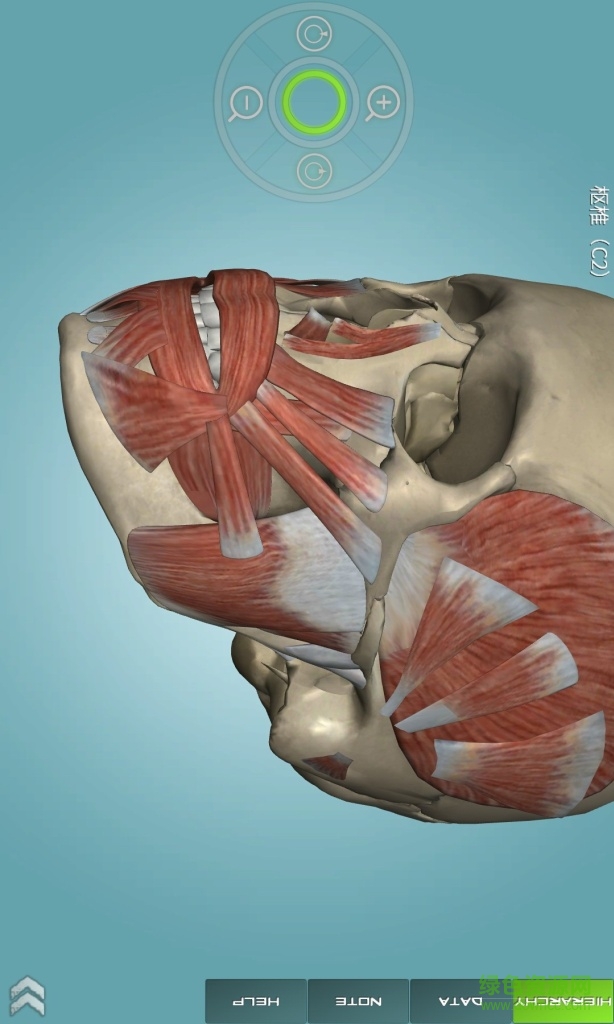 3d人体解剖学图集软件 v3.9.7 官方pc版0