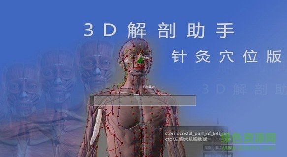 3D解剖助手针灸穴位版 v2.0 安卓版0