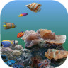 3D海底世界动态壁纸手机壁纸