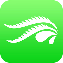 大漠绿洲app下载