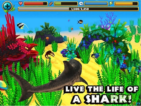 模拟鲨鱼内购修改版(UltSharkSim) v1.0.3 安卓无限金币版0