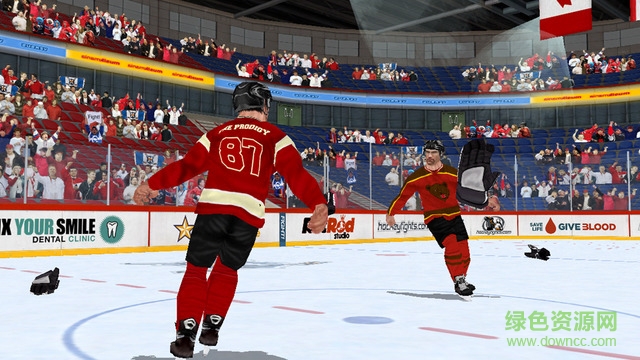 冰球格斗內(nèi)購修改版(Hockey Fight) v1.75 安卓無限資源版 1