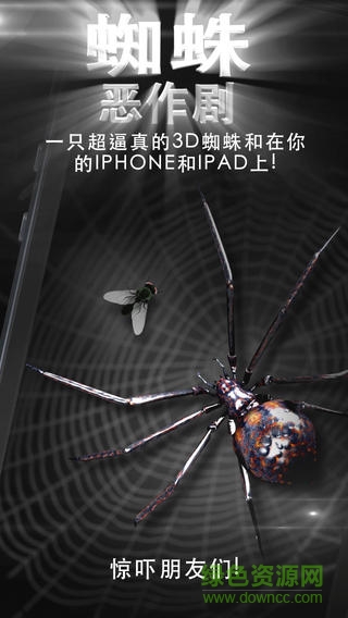 蜘蛛恶作剧简版ios版 v1.0 iphone越狱版2
