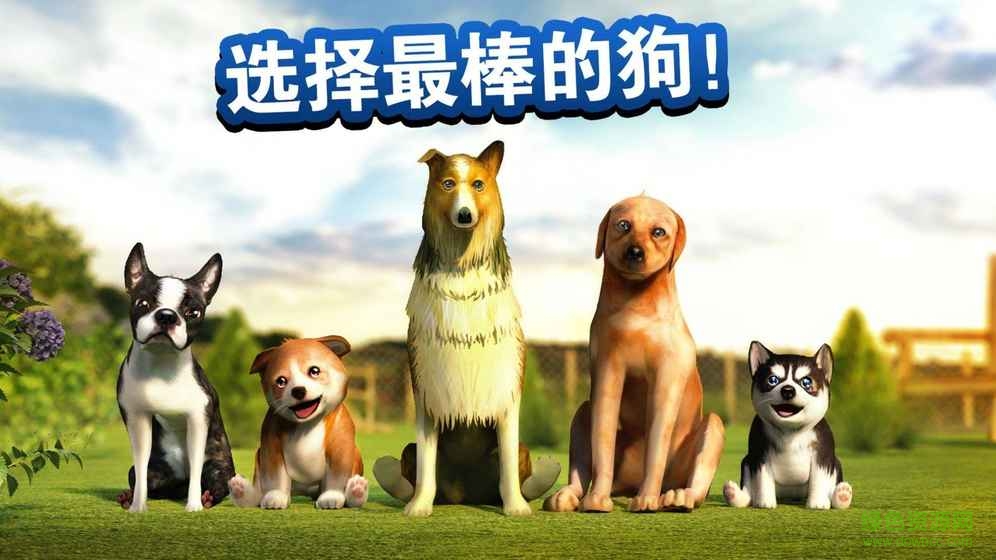 小狗模拟器内购修改版(DogSimulator) v4.2.0 安卓中文无限金币版1