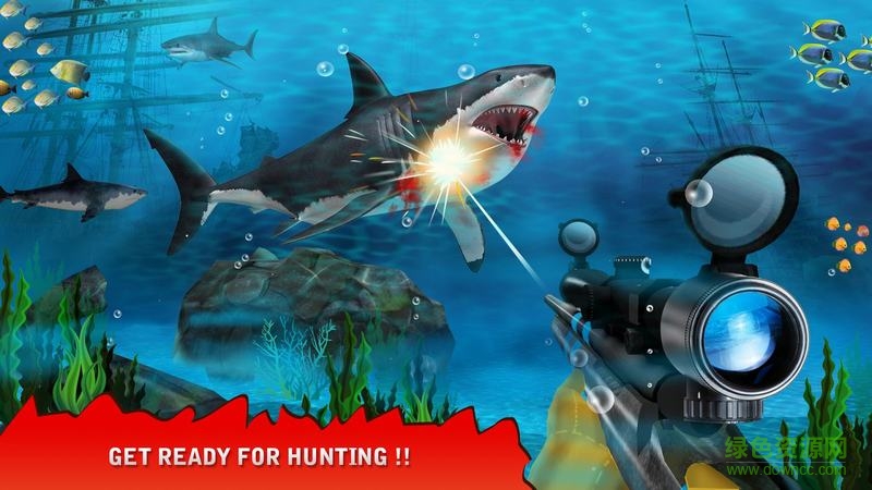 捕获鲨鱼内购修改版(shark hunting) v1.3 安卓修改版2