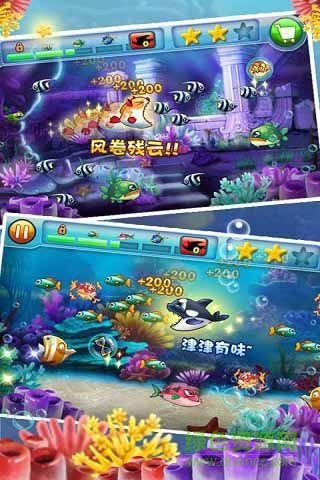 大鱼吃小鱼2内购正式版 v2.00 安卓无限金币中文版3