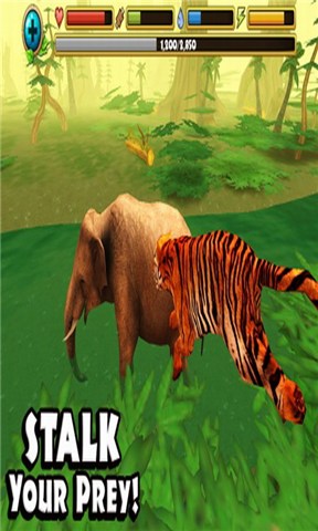 老虎模拟器中文版游戏(Tigers of the Forest) v1.2 安卓版1