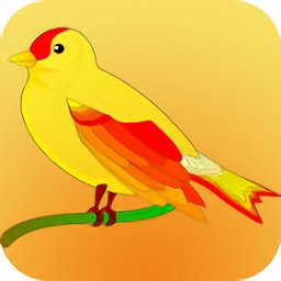 拍照识鸟app(中国野鸟速查)