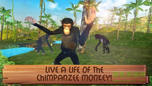 大猩猩模拟器无限生命版(JungleSim) v1.1 安卓版1