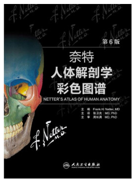 奈特人体解剖学图谱第6版电子版 中文版0