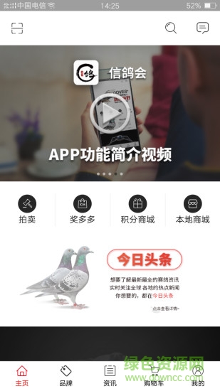 信鴿會(huì)app