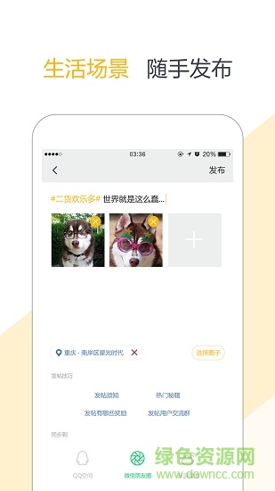 实况新闻重庆时报 v2.4.2 安卓版1