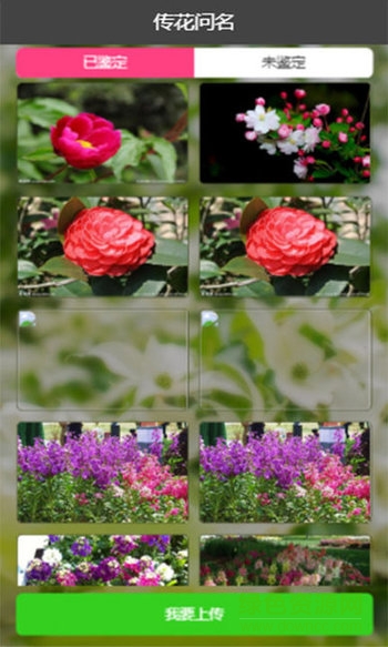 花卉识别软件 v1.0 安卓版0