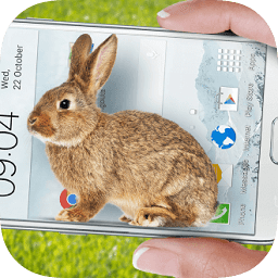 手机屏幕养兔子app(手机的小兔子玩笑)