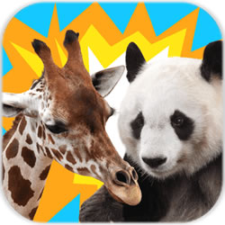 动物叠叠乐app