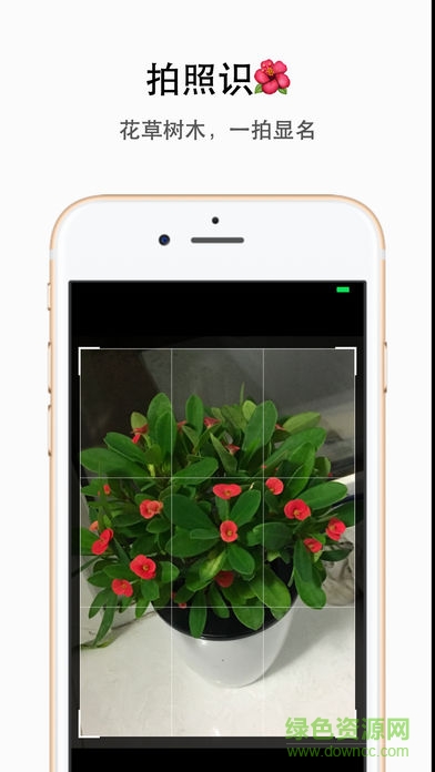 植物识别app(形色) v3.14.22 安卓版1